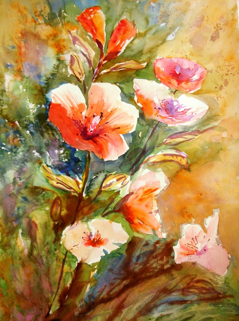 aquarelle fleurs hibiscus 